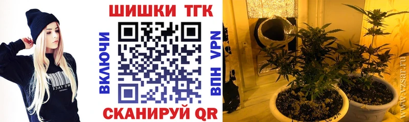 Что такое Бакал АМФЕТАМИН  Канабис  Меф мяу мяу  MDMA  APVP  Гашиш 