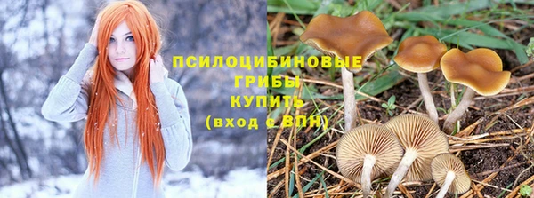 спиды Аркадак