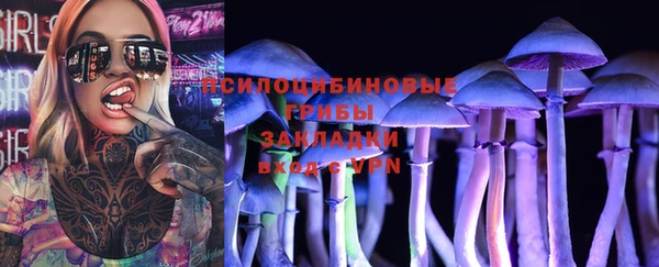 гидропоника Арсеньев